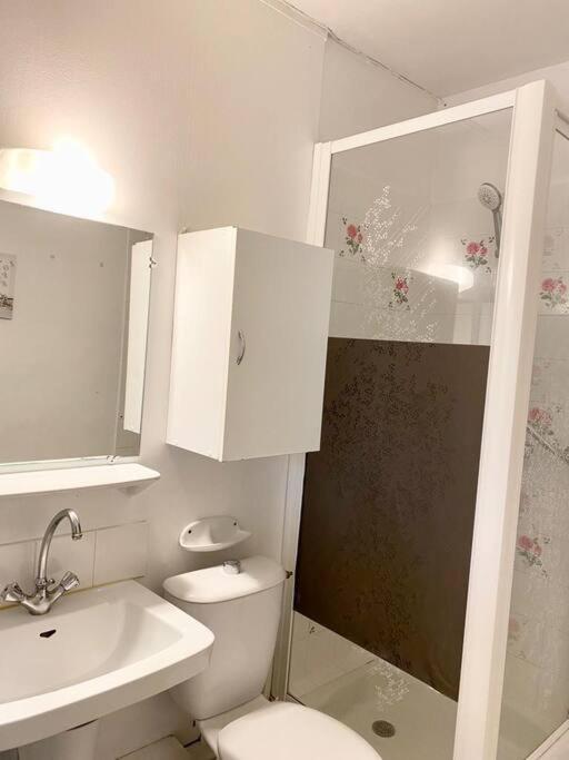 Apartamento Meuble Pres De Beauval *